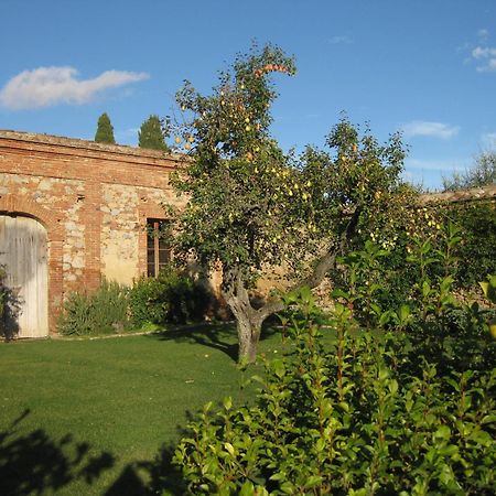 皮恩扎Fattoria Monastero Sant'Anna In Camprena别墅 外观 照片