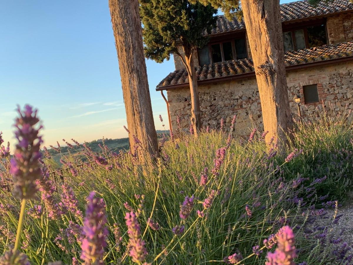 皮恩扎Monastero Sant'Anna In Camprena别墅 外观 照片