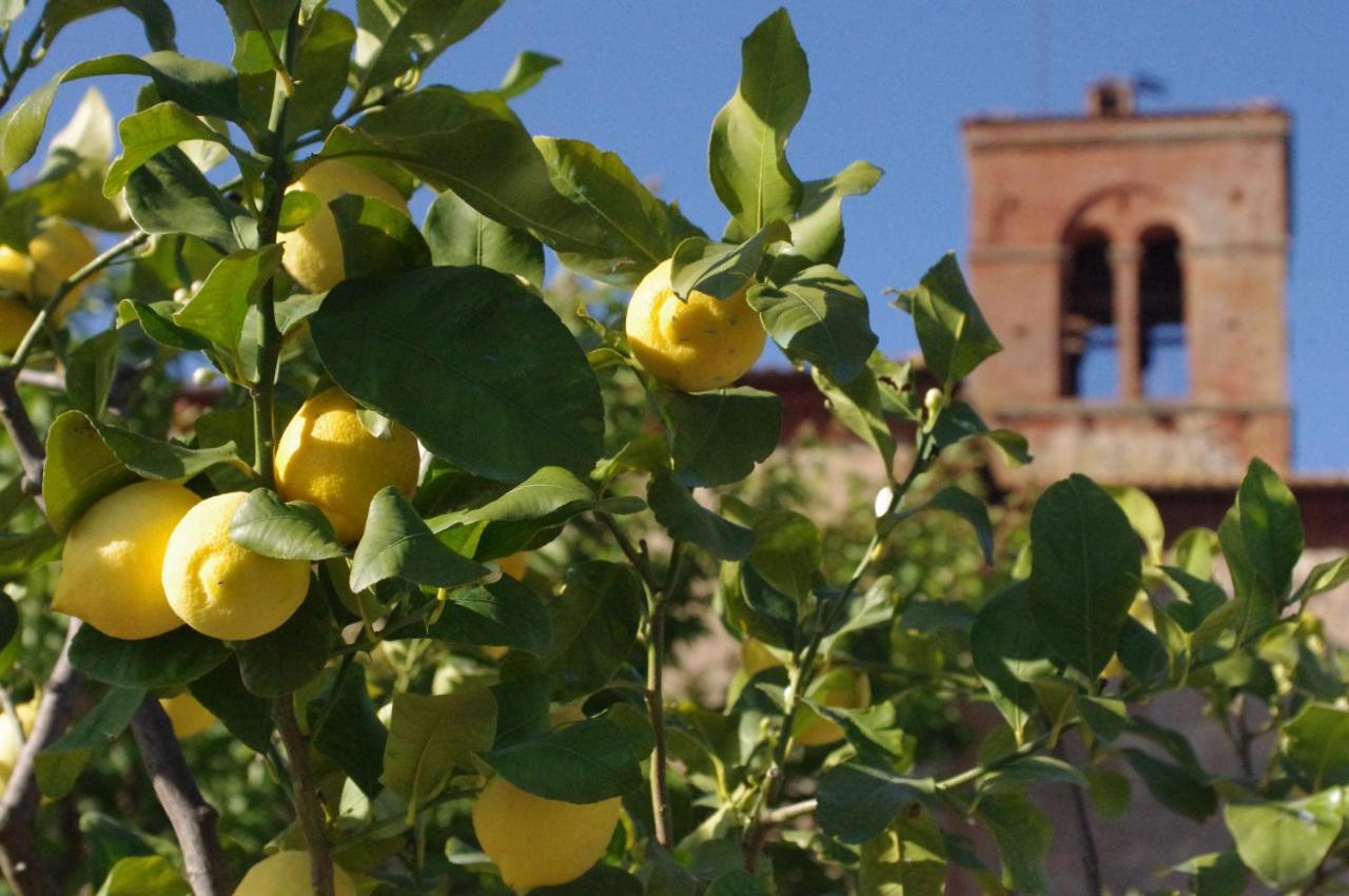 皮恩扎Monastero Sant'Anna In Camprena别墅 外观 照片