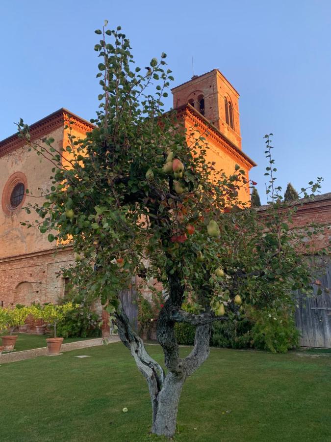 皮恩扎Fattoria Monastero Sant'Anna In Camprena别墅 外观 照片